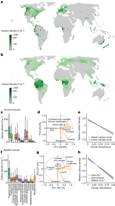 Forests: Nature's Carbon Checking Account for Climate Control